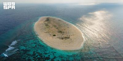Saudi Arabia’s Four Sisters Islands Drive Marine Biodiversity and Ecotourism Growth
